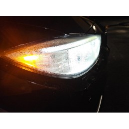 Scheinwerfer abdichten...